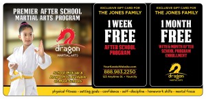 Martial Arts Direct Mail